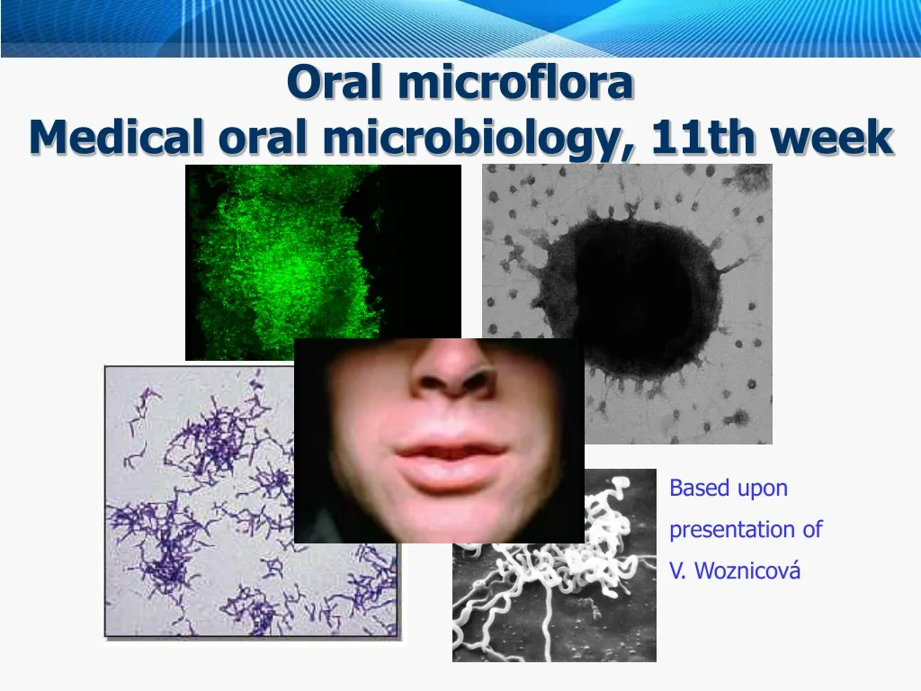 o r al micro fl o ra medical oral microbiology 11th week n.
