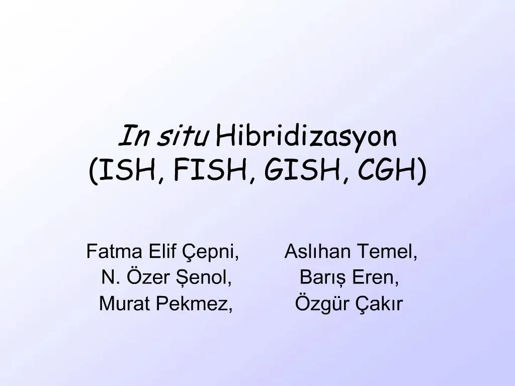 PPT - In situ Hibridizasyon ISH, FISH, GISH, CGH PowerPoint ...