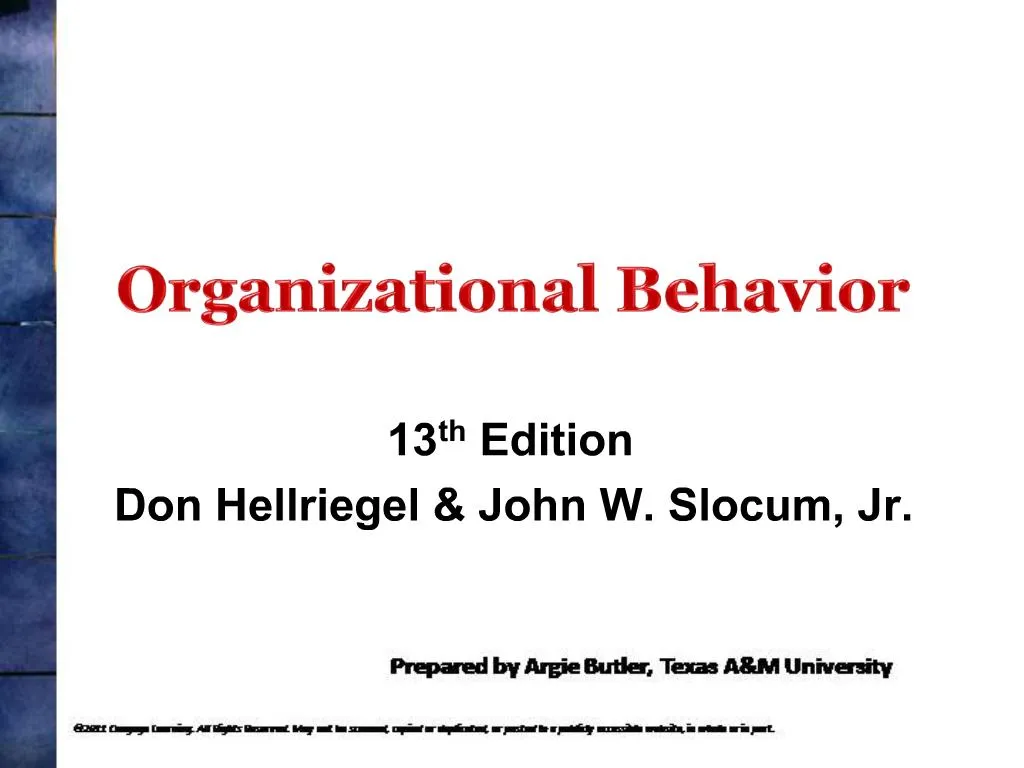 PPT Organizational Behavior PowerPoint Presentation Free Download 