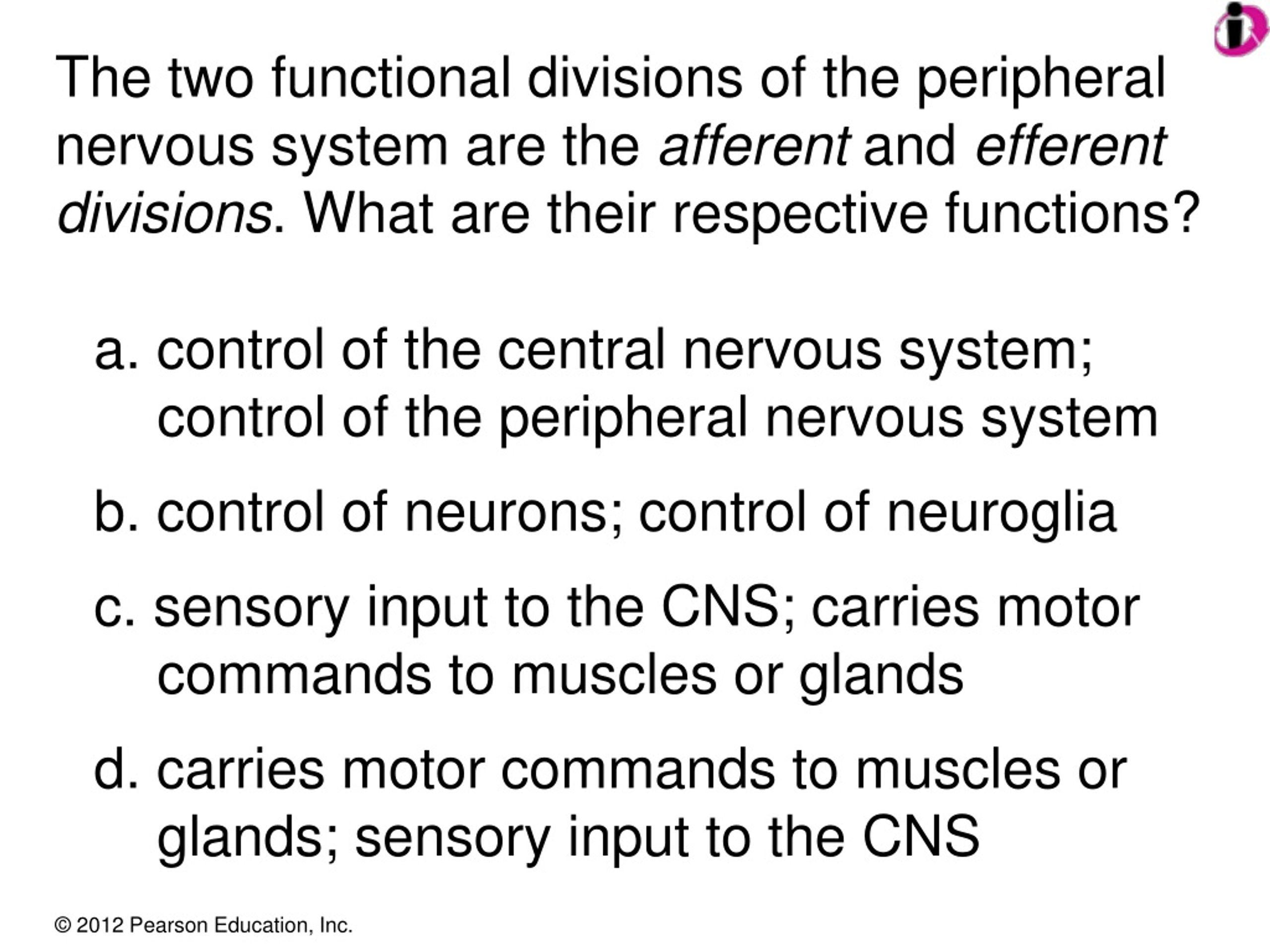 PPT - a. Multipolar neurons control skeletal muscles. PowerPoint ...