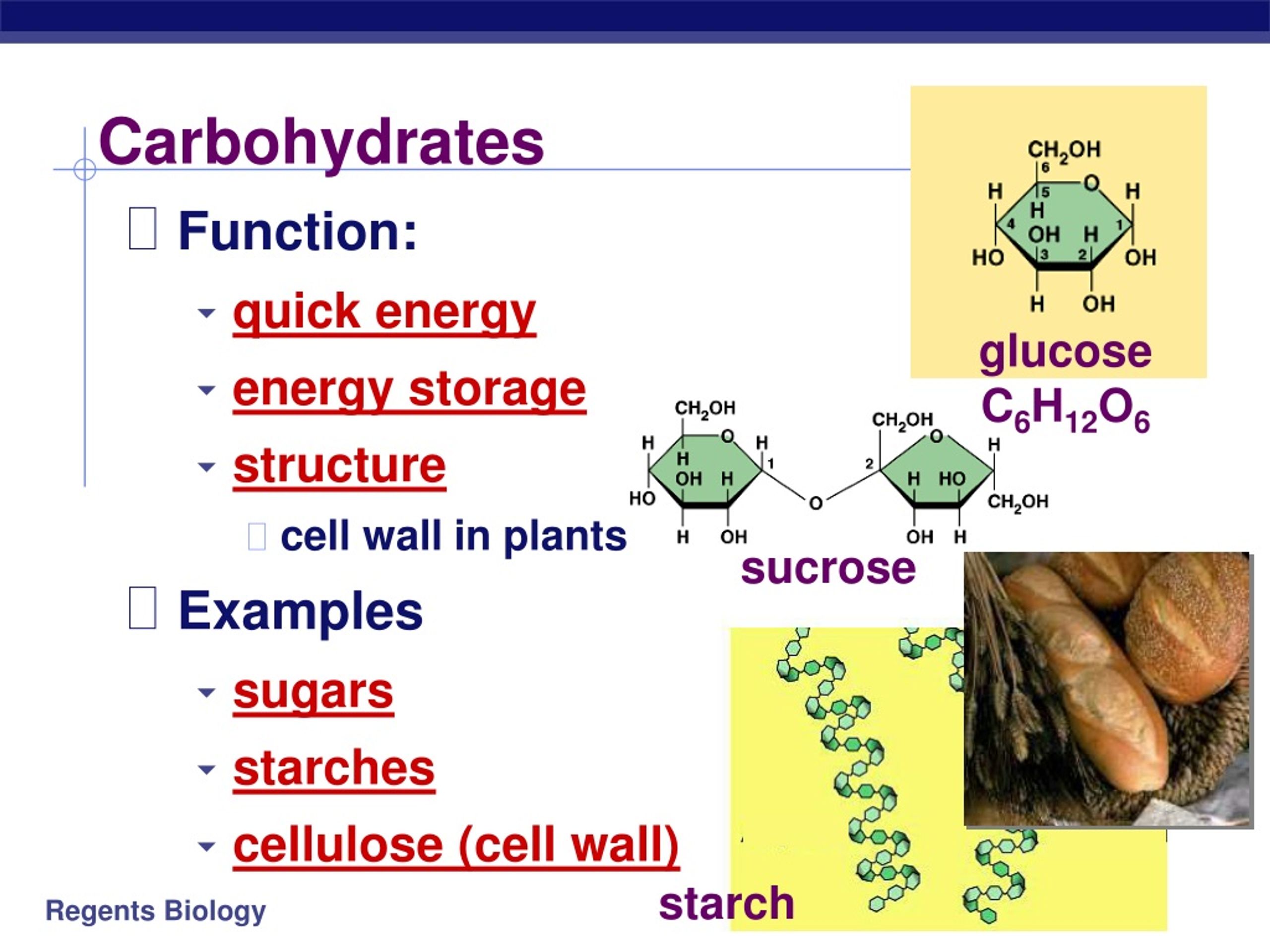 Carbohydrates Definition Types And Structure Of Carbohydrates | My XXX ...