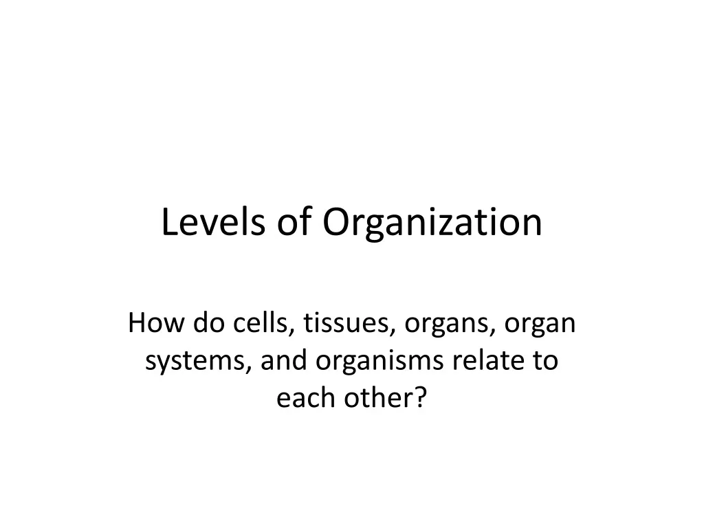levels of organization n.