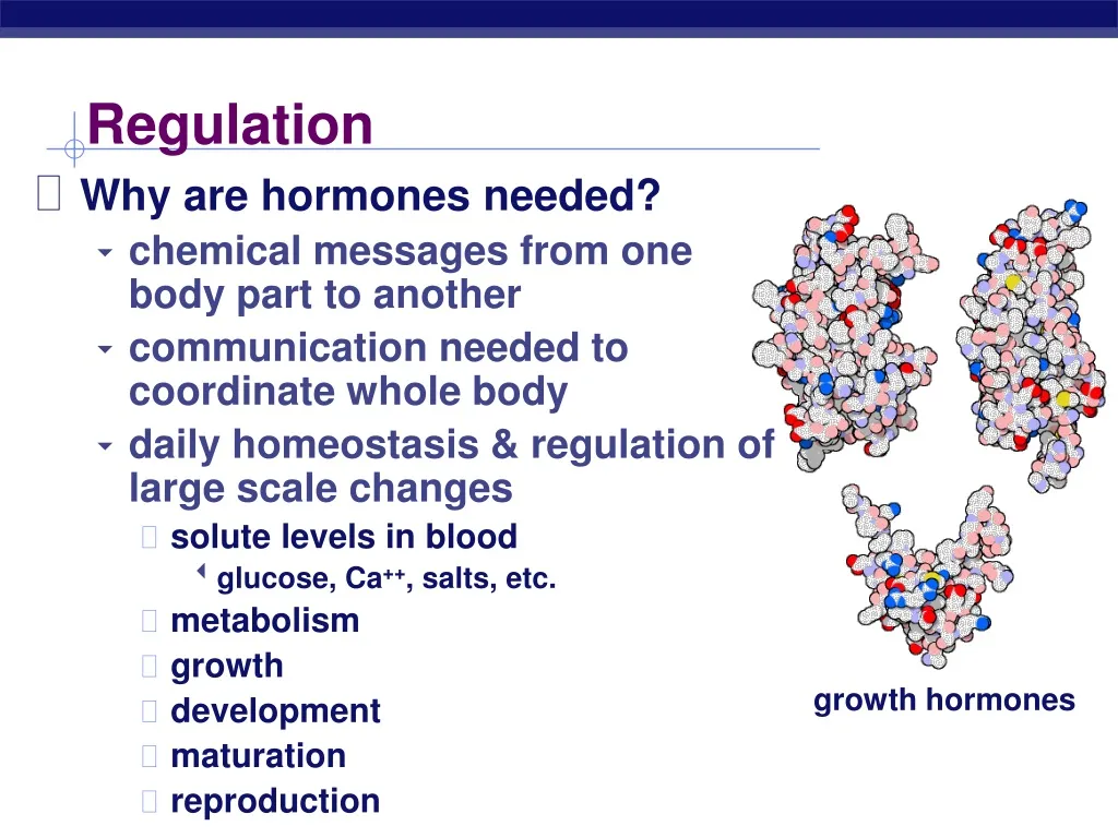 PPT Regulation PowerPoint Presentation, free download ID472199