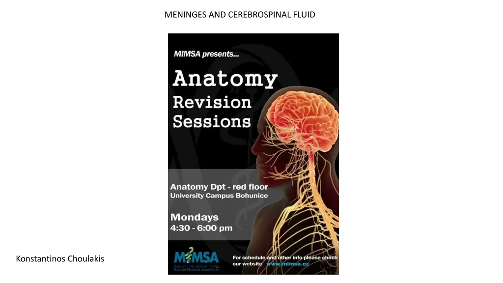 Ppt Meninges And Cerebrospinal Fluid Powerpoint Presentation Free Download Id