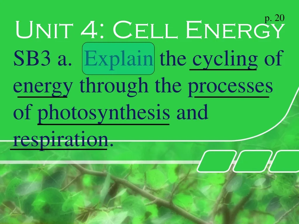 PPT - Unit 4: Cell Energy PowerPoint Presentation, Free Download - ID ...