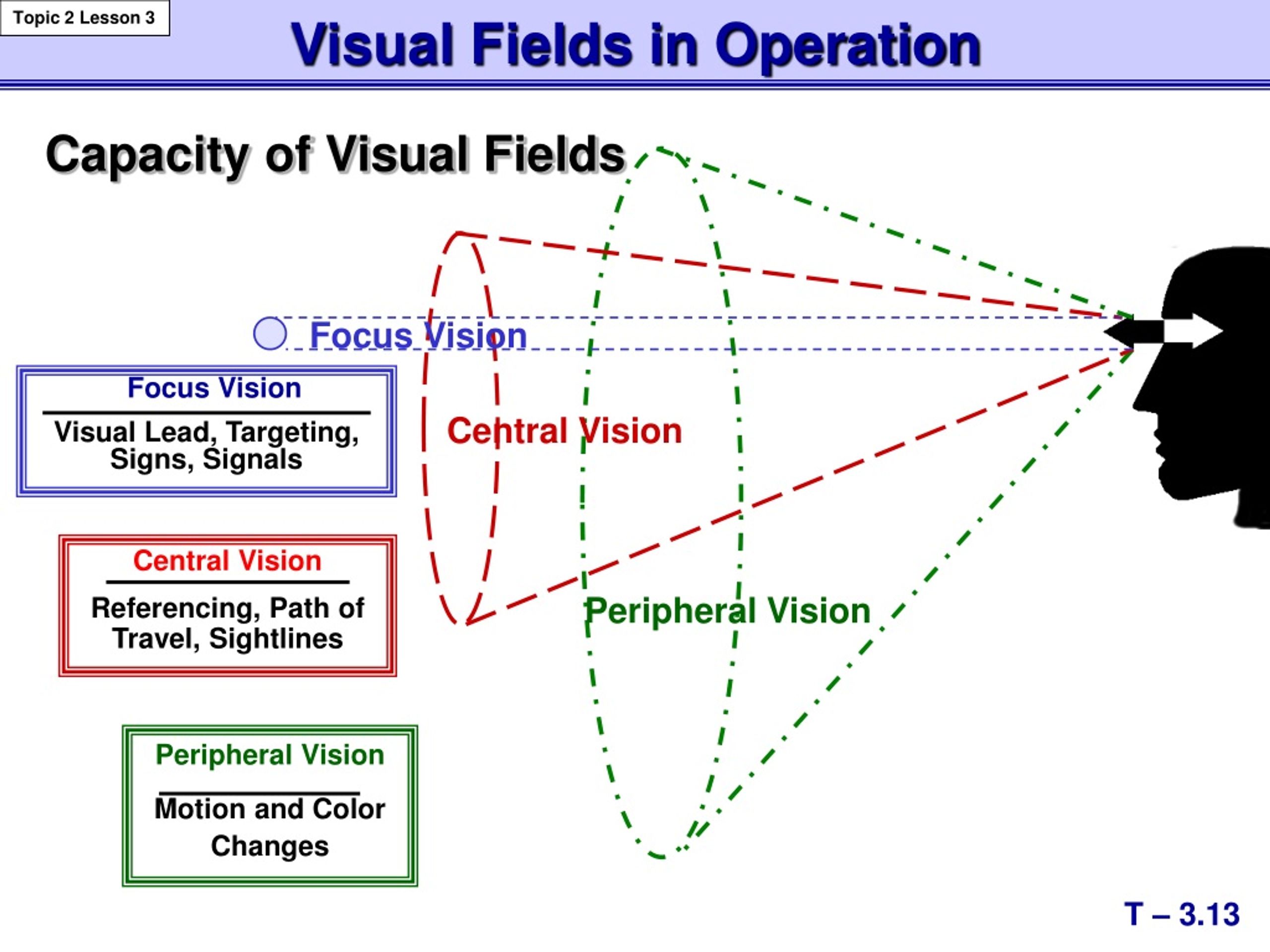 Focus vision. Фокус Вижн. Фокус видения. Vision Motion программа. Peripheral Vision.