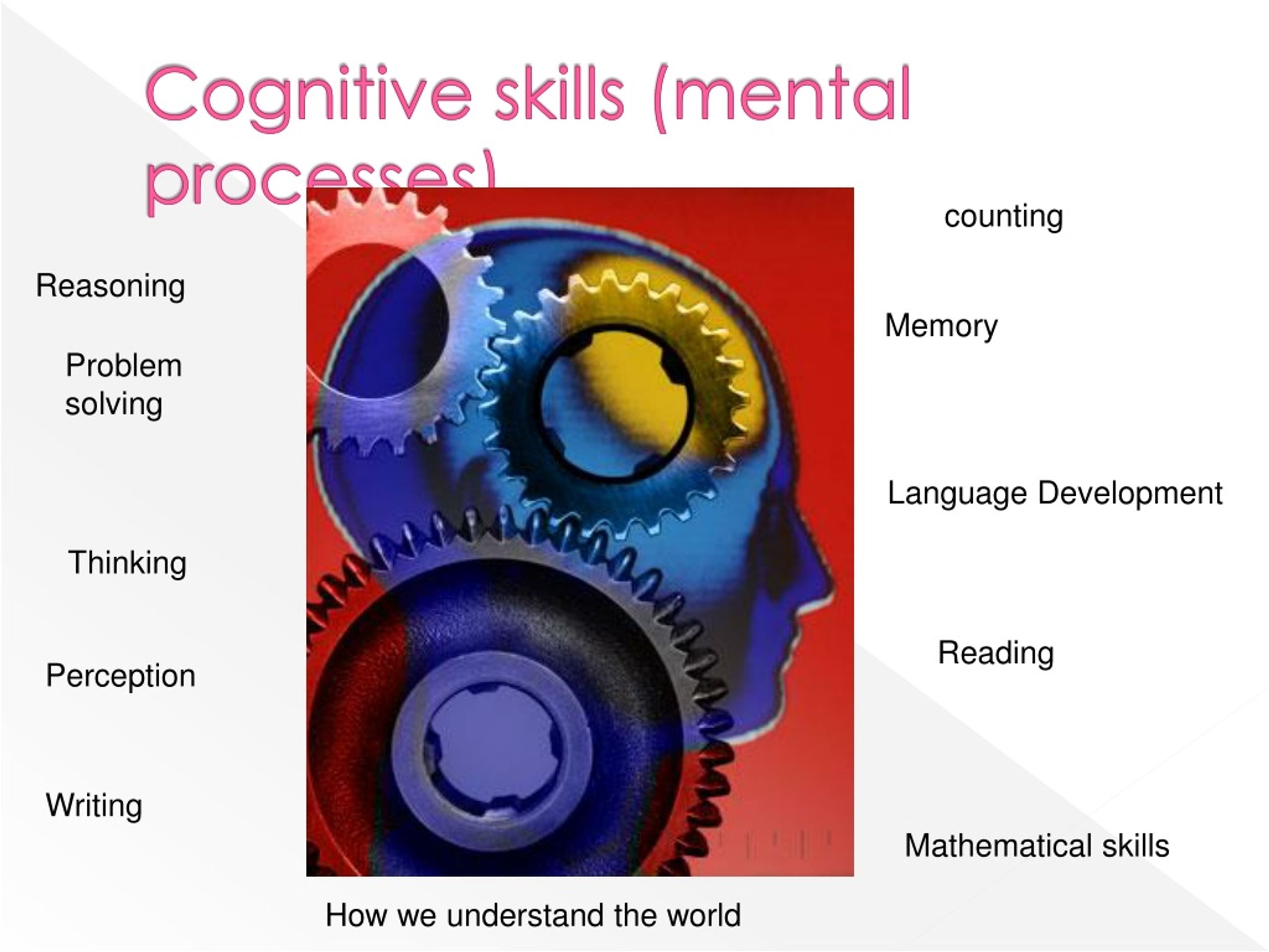 complex cognitive processes