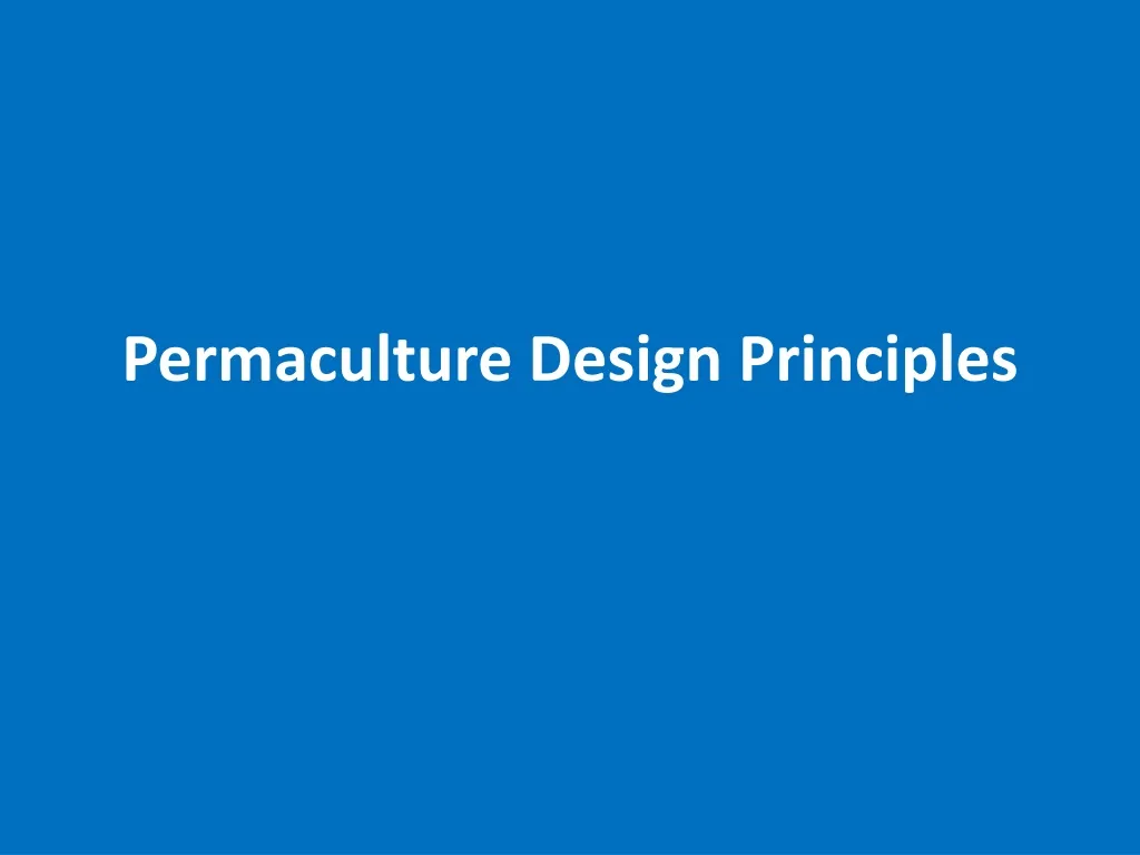 permaculture design principles n.