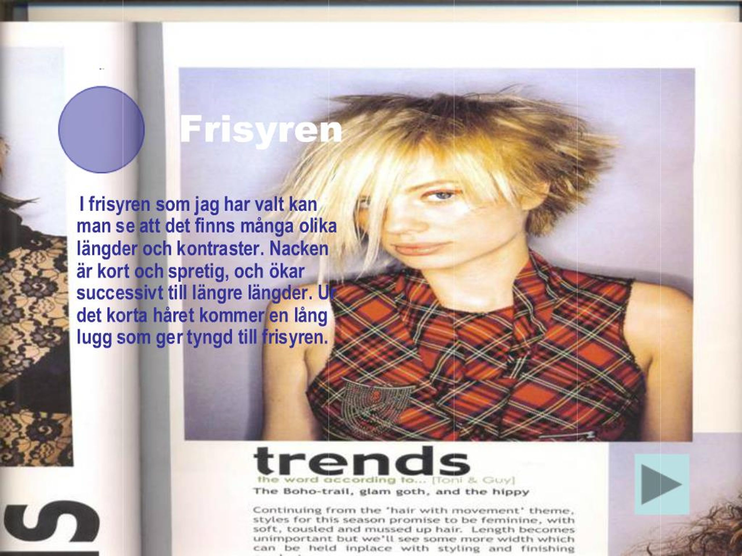 PPT - Frisyrbeskrivning PowerPoint Presentation, free download 