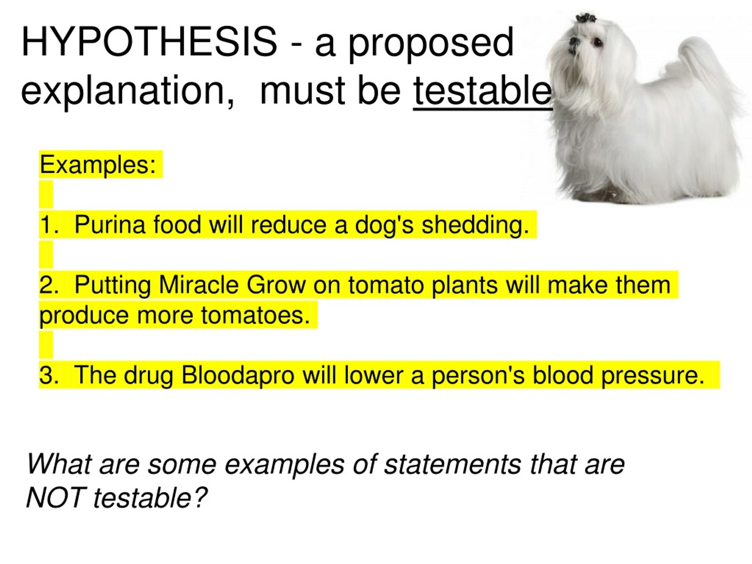 testable hypothesis examples biology