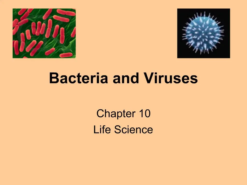 Ppt Bacteria And Viruses Powerpoint Presentation Free Download Id496706 2671