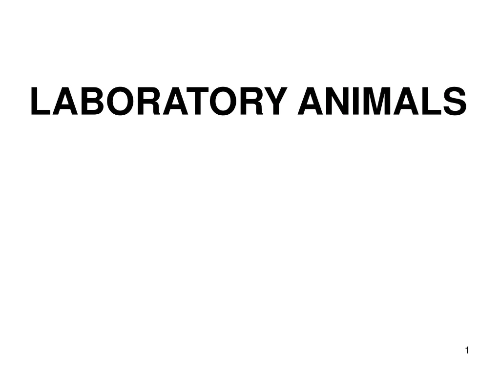 PPT LABORATORY ANIMALS PowerPoint Presentation, free download ID496862