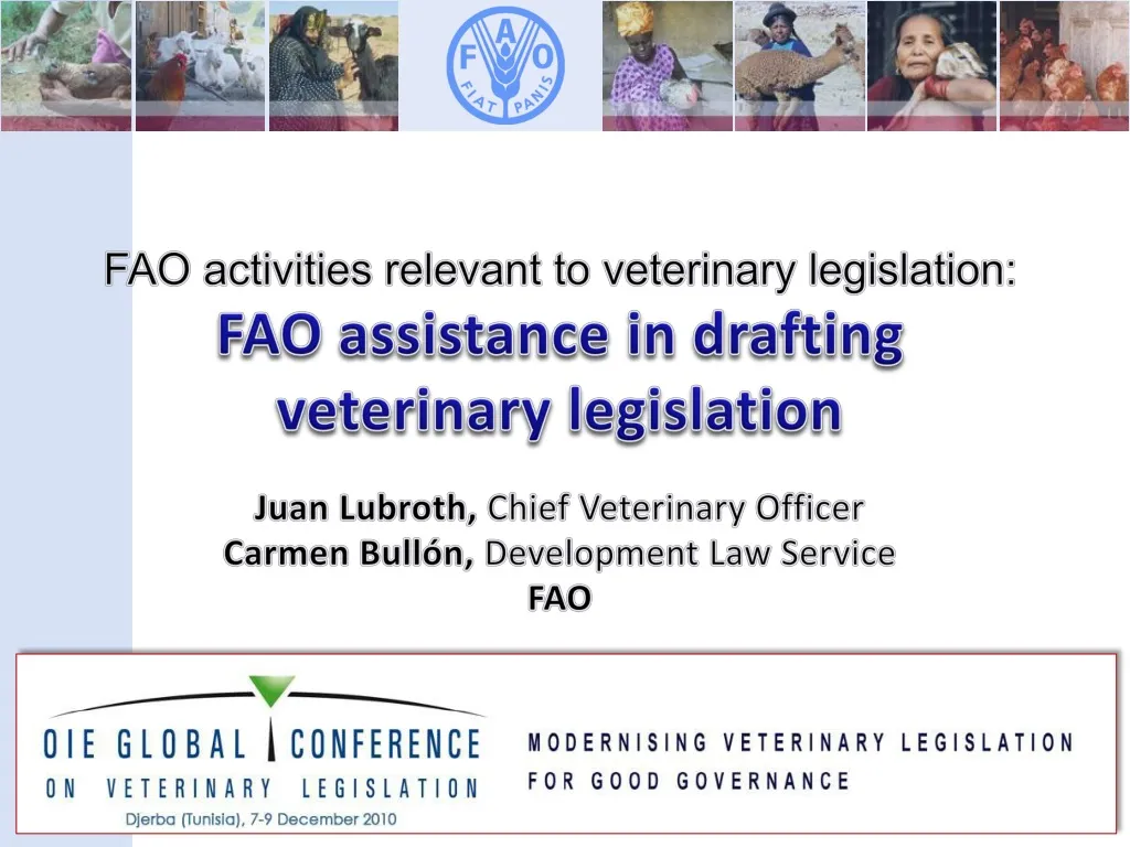 fao activities relevant to veterinary legislation n.