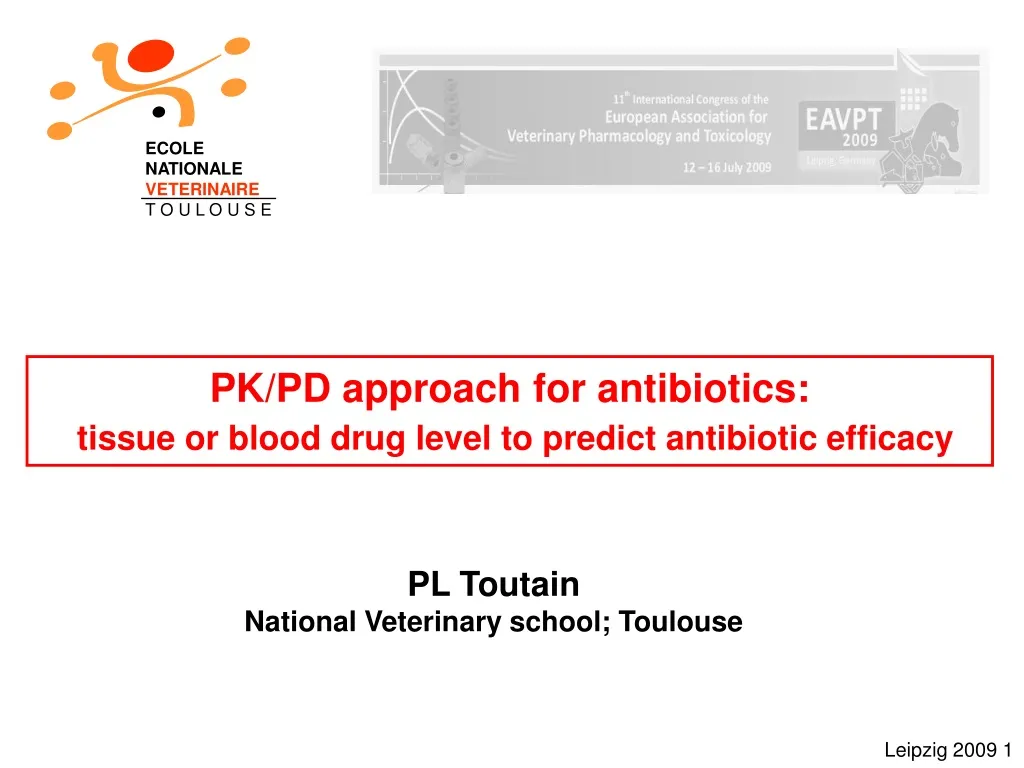 pk pd approach for antibiotics tissue or blood drug level to predict antibiotic efficacy n.