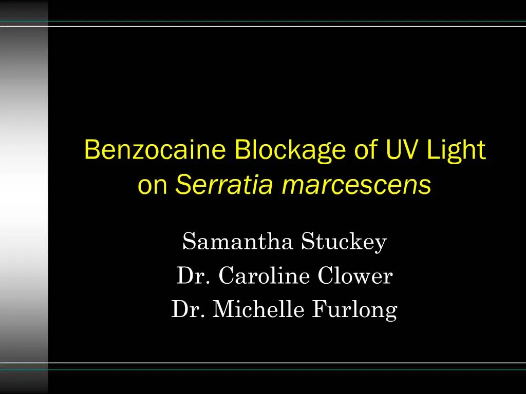 PPT Benzocaine Blockage of UV Light on Serratia marcescens PowerPoint