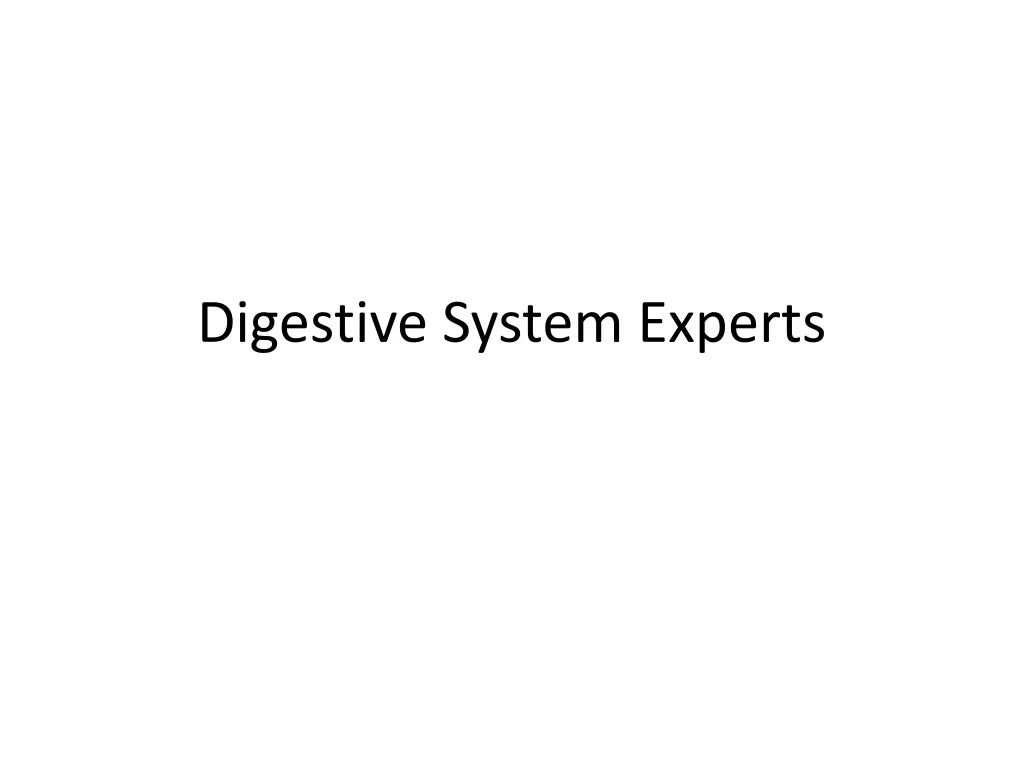 digestive system experts n.