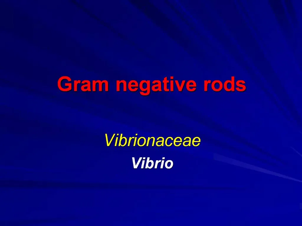 gram-positive-bacteria-royalty-free-vector-image