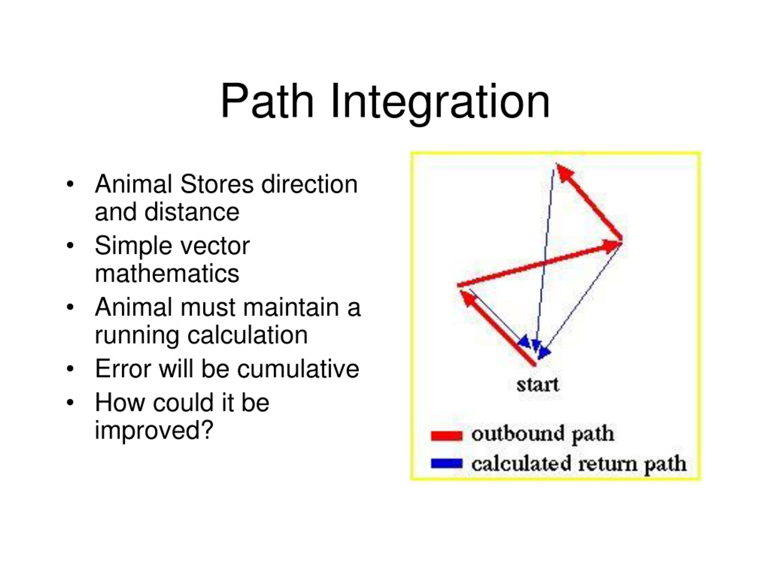 PPT - Space PowerPoint Presentation, Free Download - ID:509610