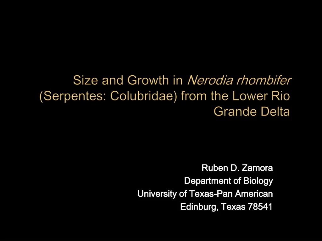 size and growth in nerodia rhombifer serpentes colubridae from the lower rio grande delta n.