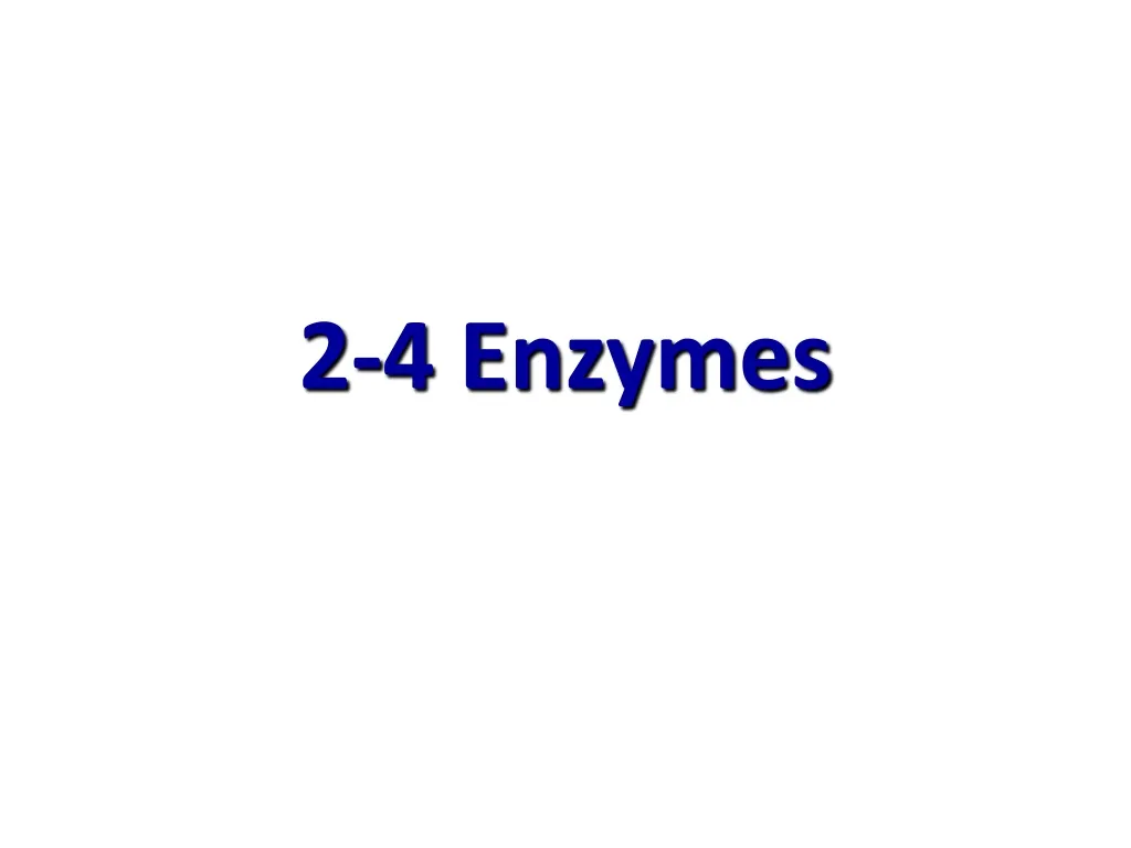 2 4 enzymes n.