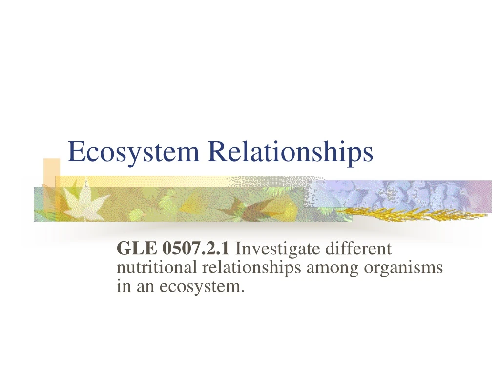 ecosystem relationships n.