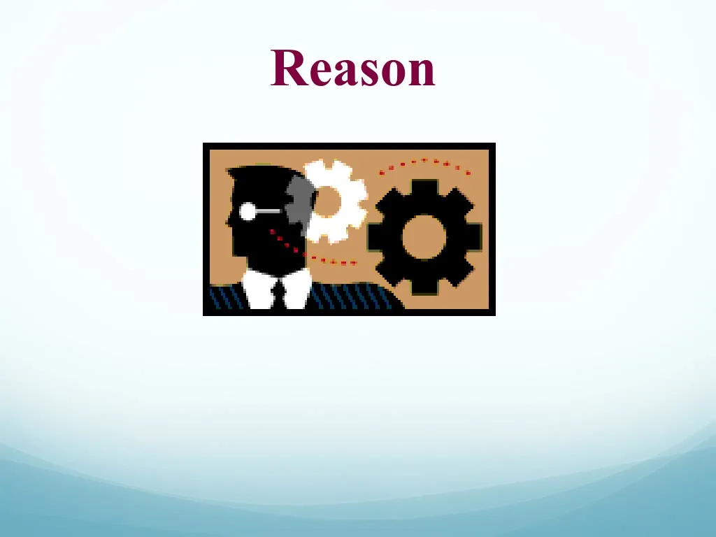reason n.
