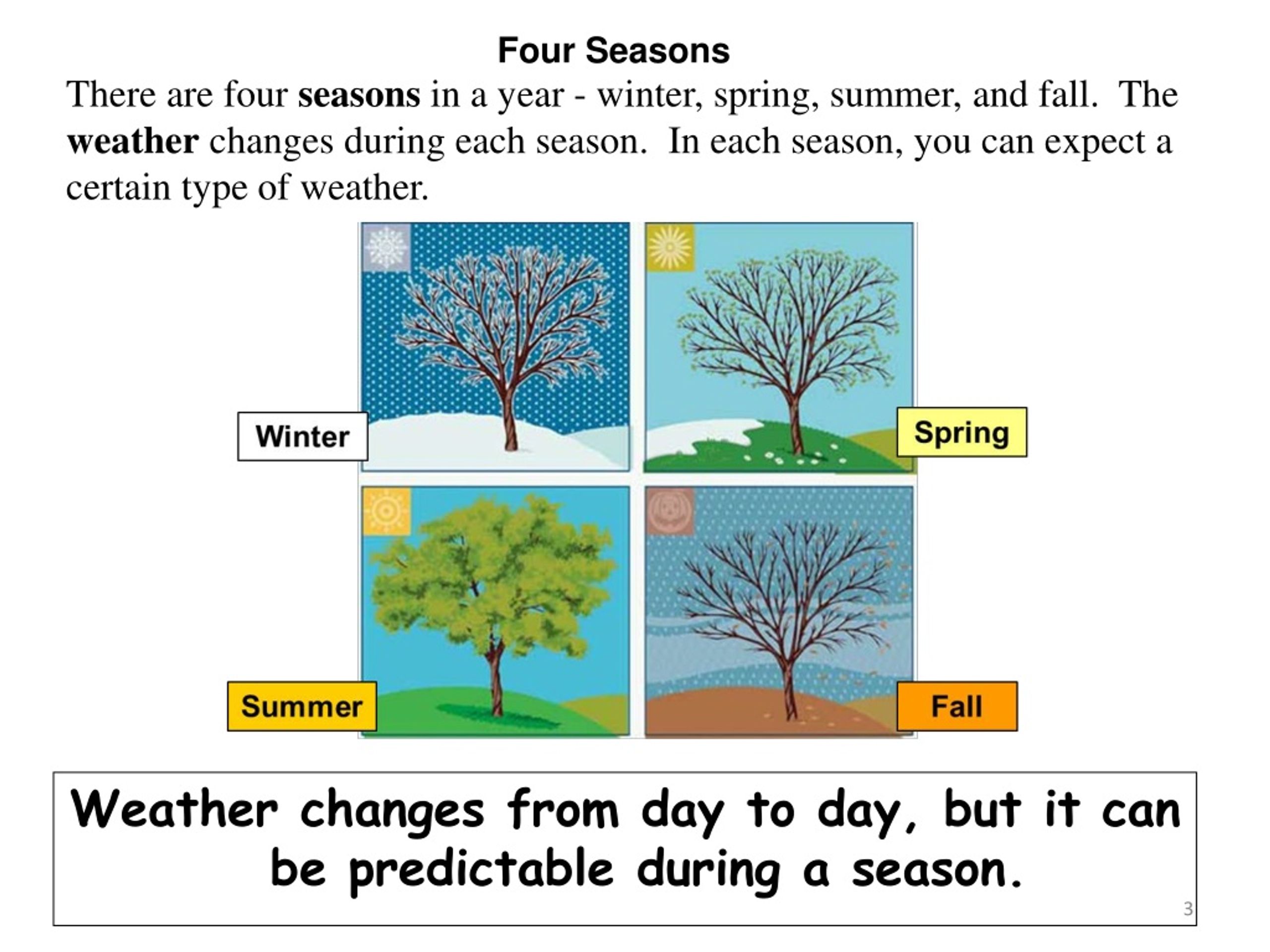 Types of Weather - Weather and the Four Seasons