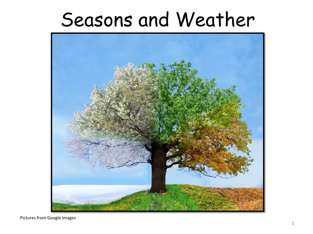 seasons and weather presentation