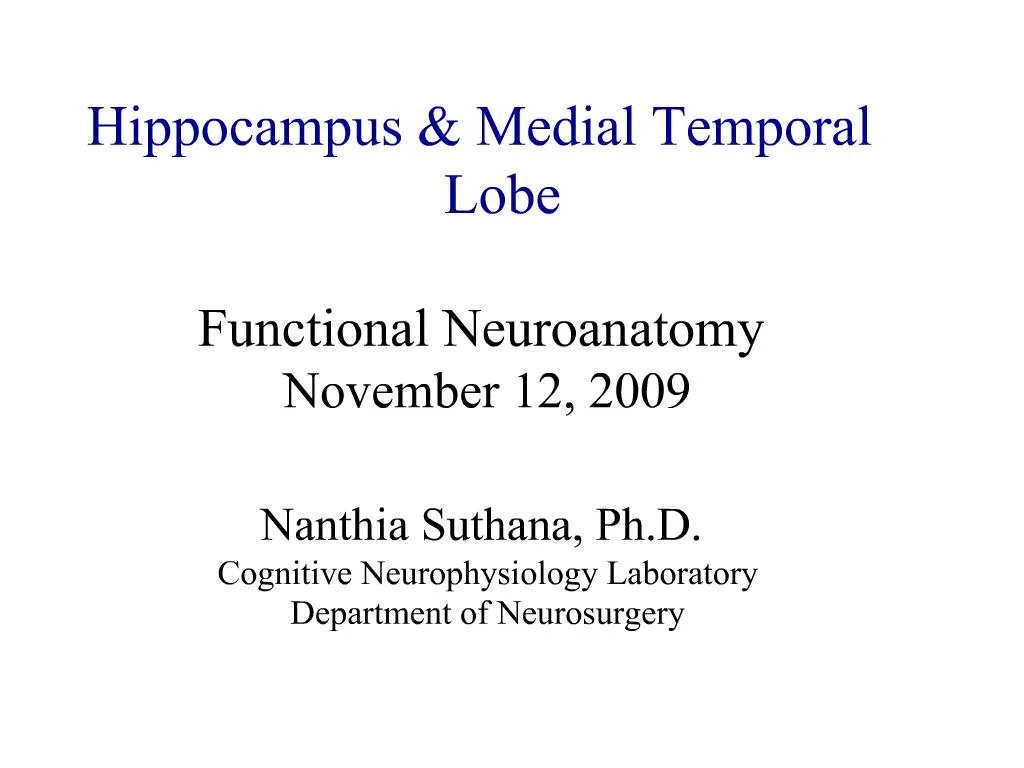 PPT Hippocampus Medial Temporal Lobe Functional Neuroanatomy November 