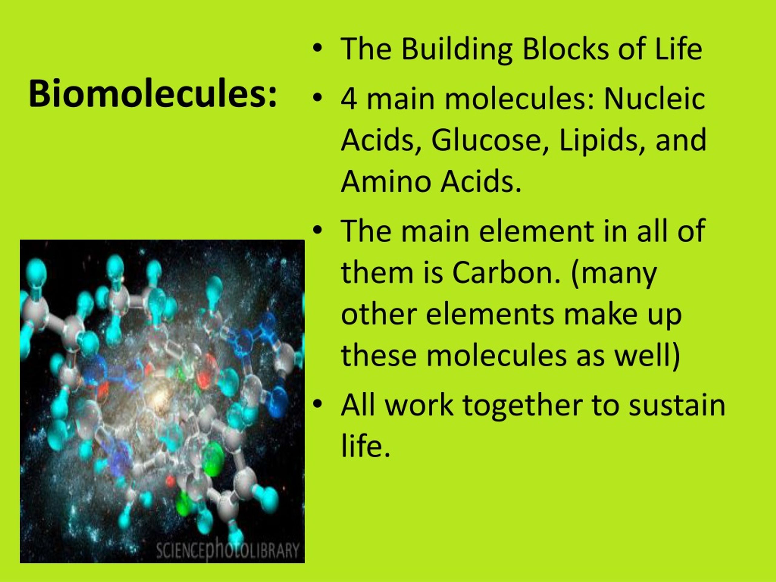 powerpoint presentation on biomolecules