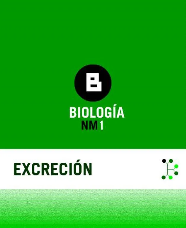 slide1 n.