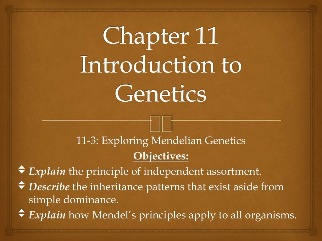 chapter 11 introduction to genetics n.