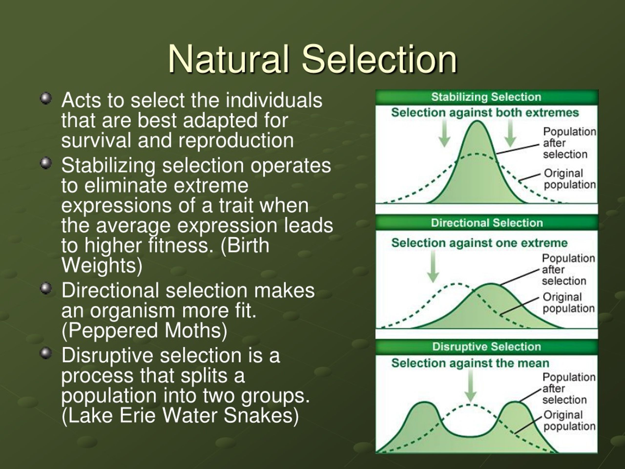 the origin of species by means of natural selection