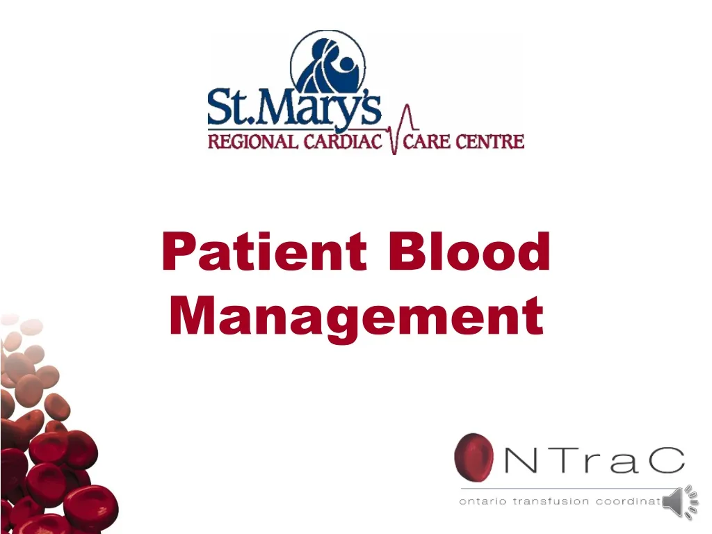 PPT - Patient Blood Management PowerPoint Presentation, Free Download ...