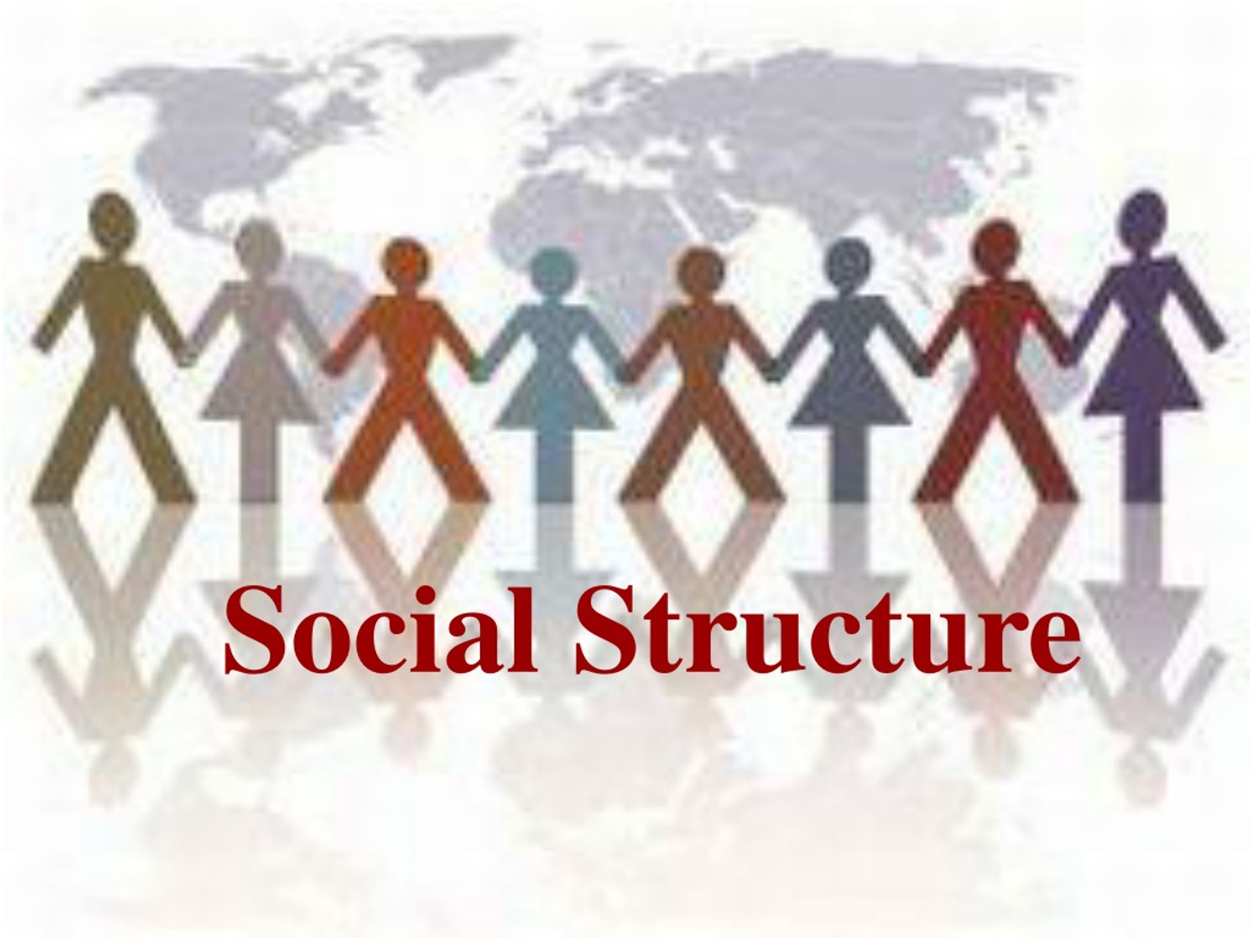 social structure assignment