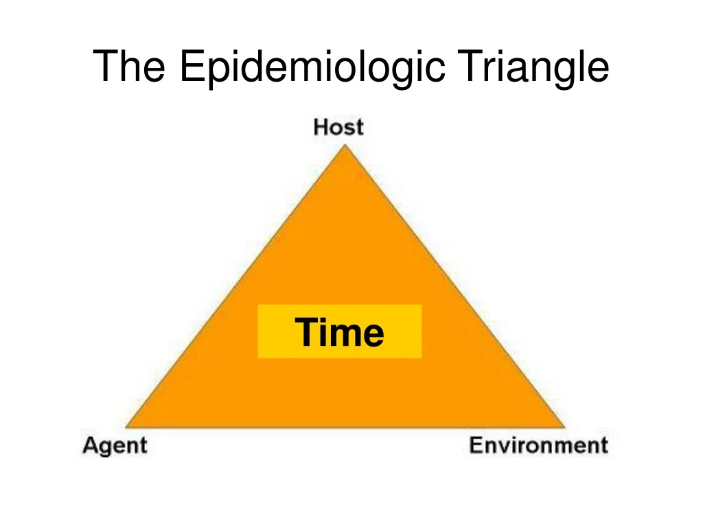 the epidemiologic triangle n.