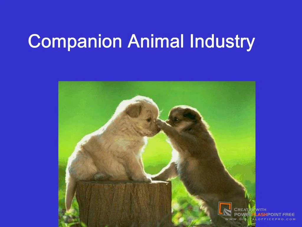 PPT Companion Animal Industry PowerPoint Presentation, free download