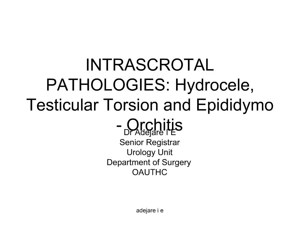PPT INTRASCROTAL PATHOLOGIES Hydrocele, Testicular Torsion and Epididymo Orchitis