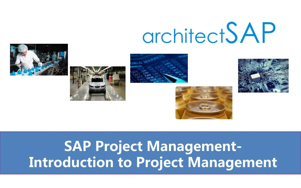 sap project management introduction to project management n.