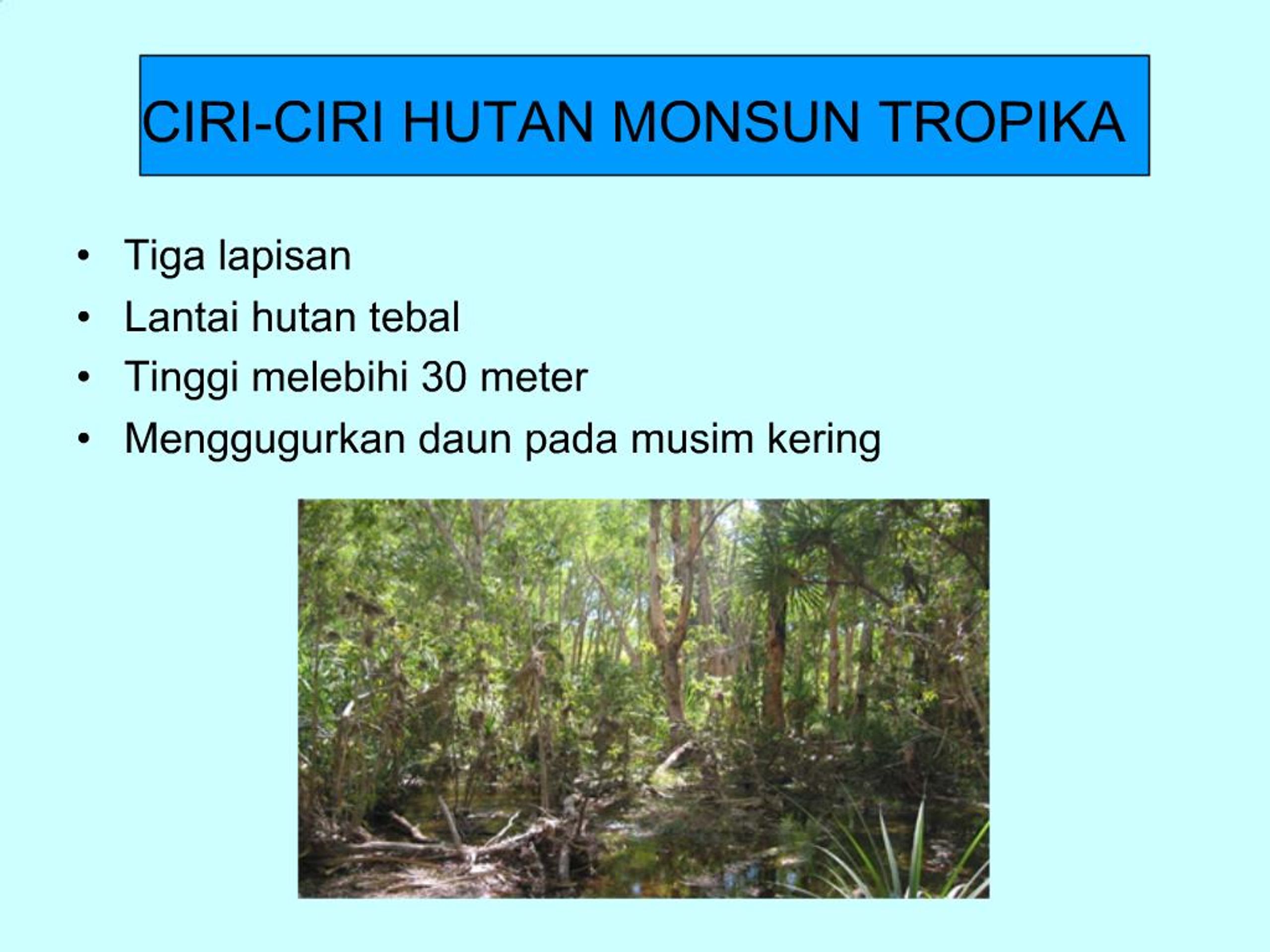 Ppt Jenis Tumbuhan Semulajadi Powerpoint Presentation Free Download Id 559509