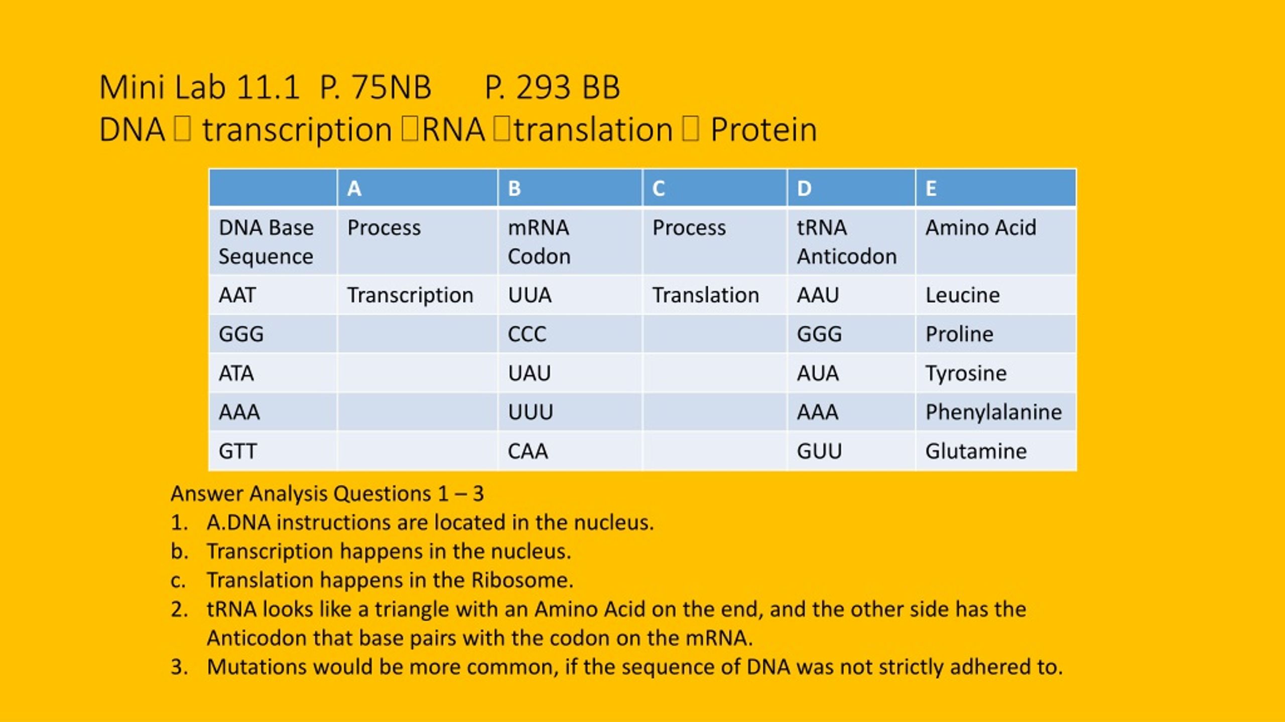 Ppt Dna Replication Practice P 69nb Powerpoint Presentation Free Download Id 563985