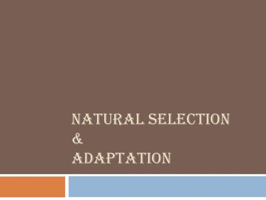 natural selection adaptation n.