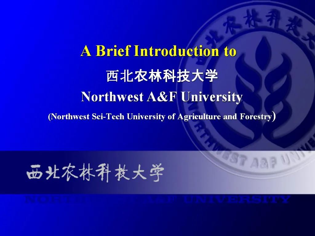 slide1 n.