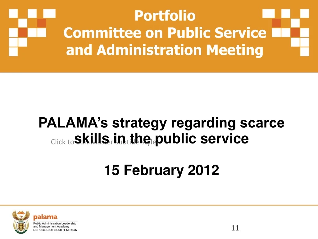 portfolio committee on public service n.
