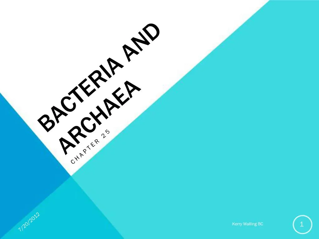 PPT - BACTERIA AND ARCHAEA PowerPoint Presentation, Free Download - ID ...