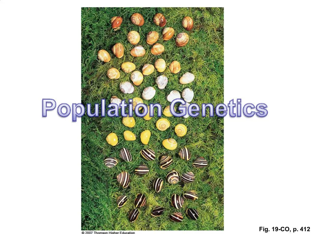 PPT - Heredity And Environment PowerPoint Presentation, Free Download ...