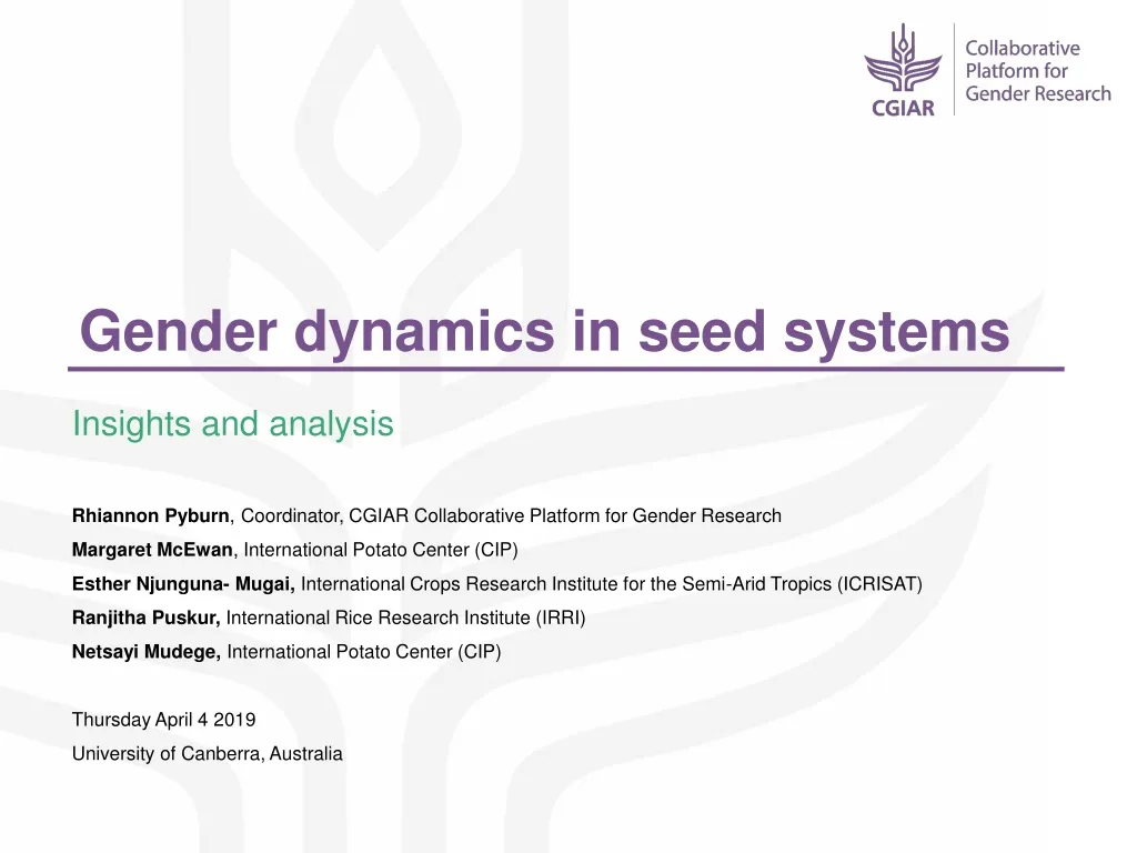 gender dynamics in seed systems n.