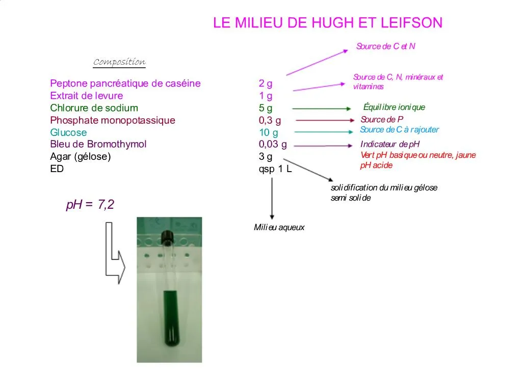 PPT LE MILIEU DE HUGH ET LEIFSON PowerPoint Presentation Free ppt-le-milieu-de-hugh-et-leifson-powerpoint-presentation-free