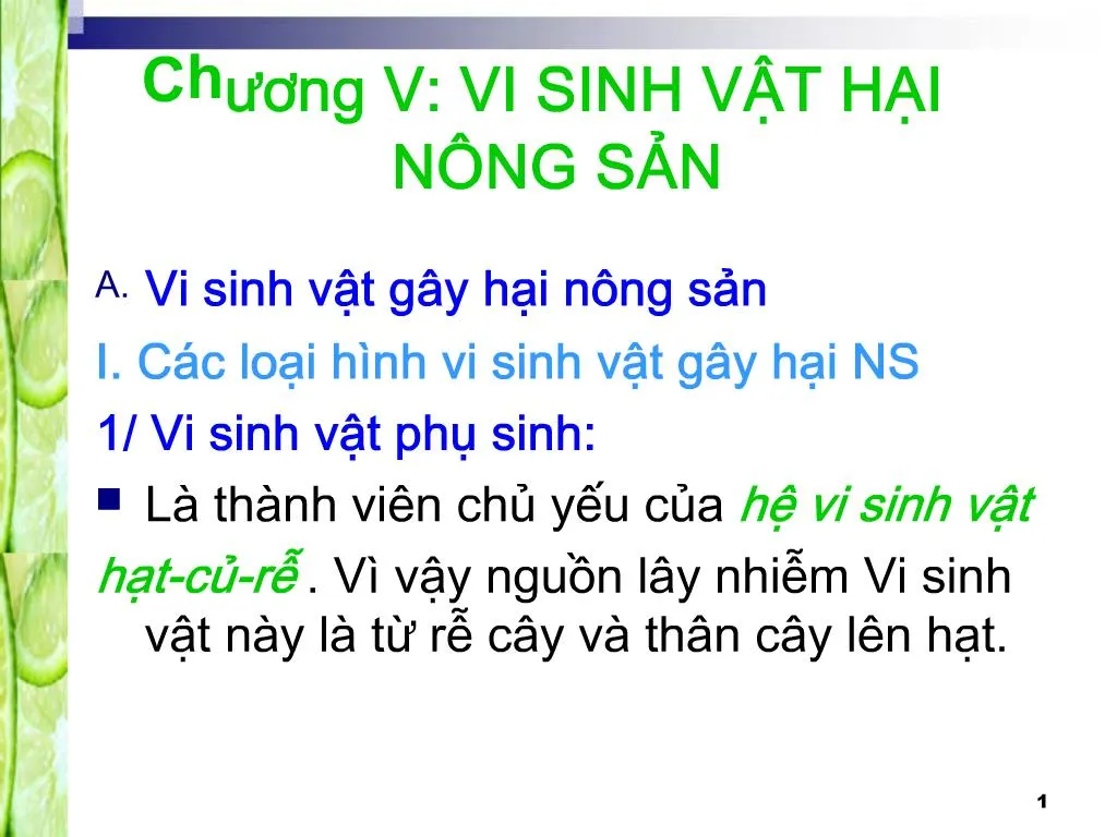 slide1 n.