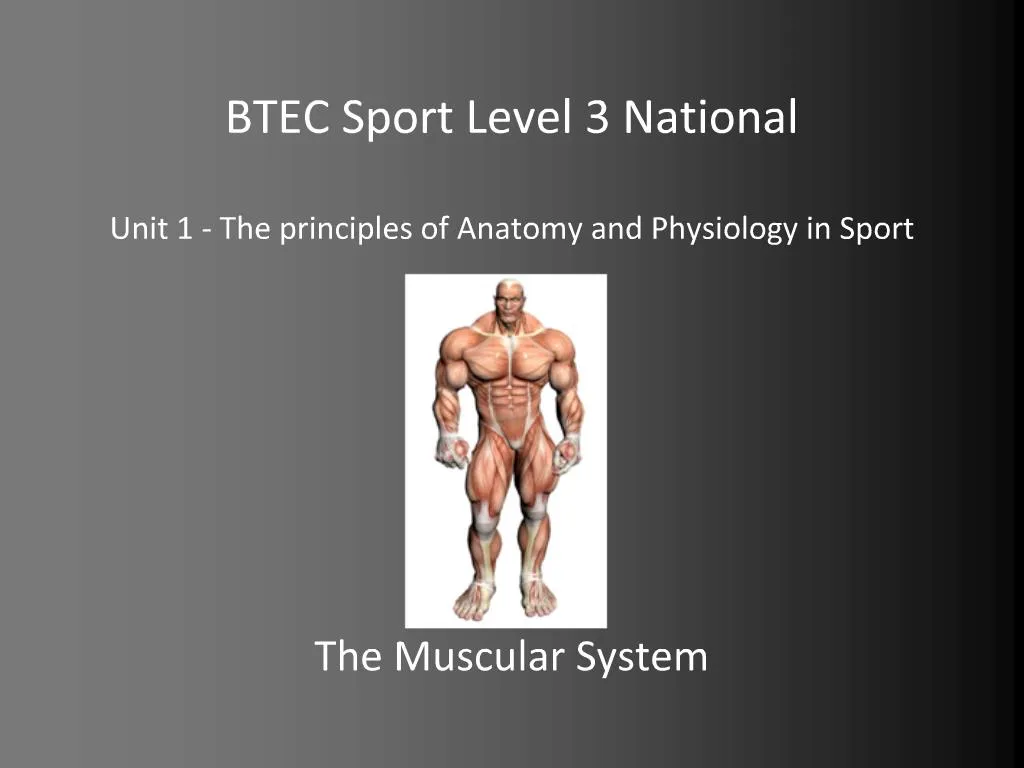 ppt-btec-sport-level-3-national-unit-1-the-principles-of-anatomy